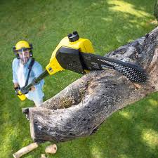 Best Leaf Removal  in Millville, NJ