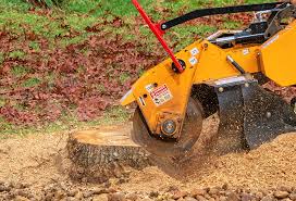 Best Lawn Drainage Solutions  in Millville, NJ