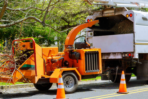 Best Lawn Grading and Leveling  in Millville, NJ