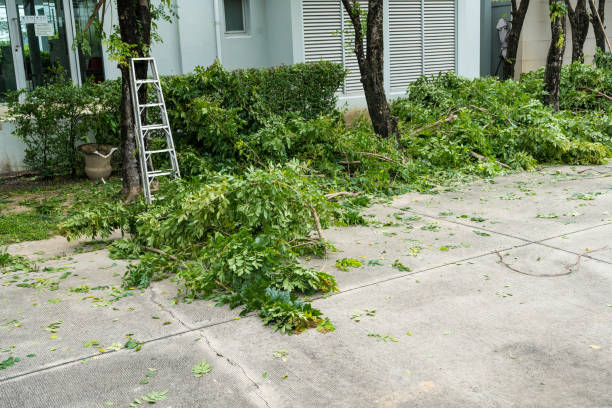 Best Lawn Watering Services  in Millville, NJ