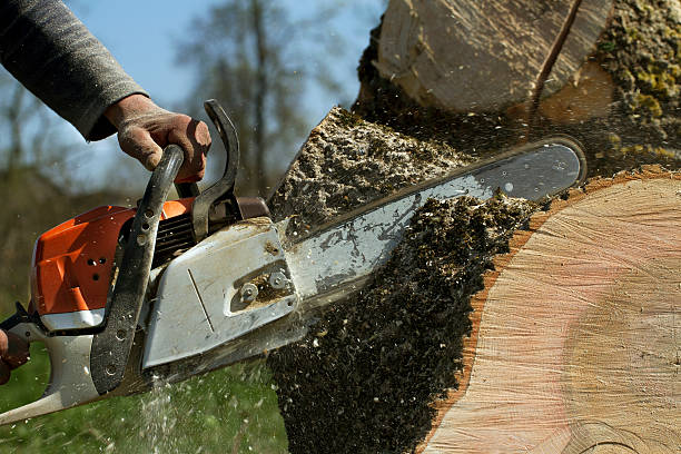Best Weed Control  in Millville, NJ